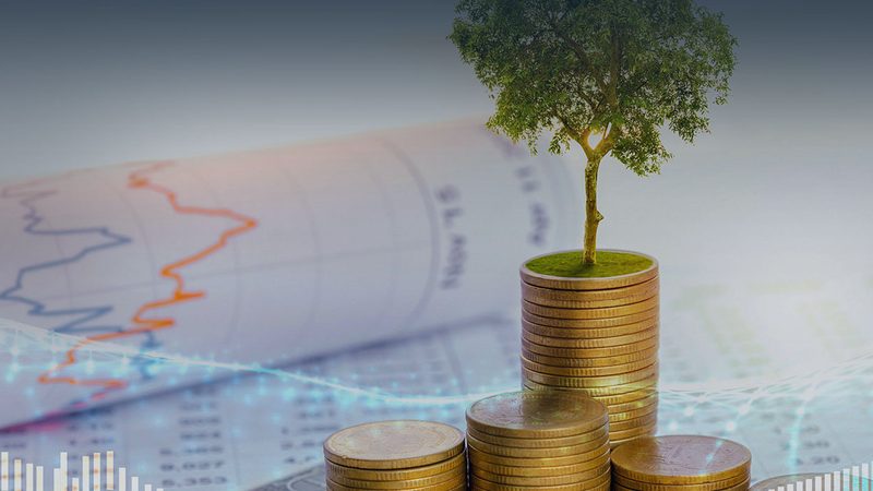 投融资咨询行业分类解析：揭秘企业发展的智慧之选